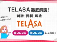 telasa特徴評判料金まとめ説明